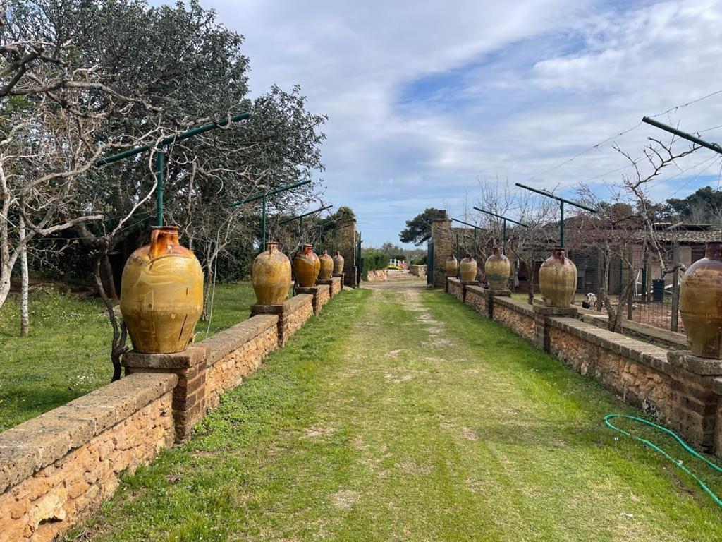 Masseria Gatto Bianco Provenzani Casalabate Exterior foto
