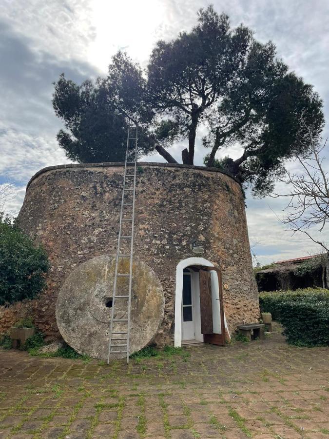 Masseria Gatto Bianco Provenzani Casalabate Exterior foto